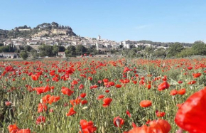 L'AMANDERAIE PISCINE PRIVEE à côté de LOURMARIN LUBERON